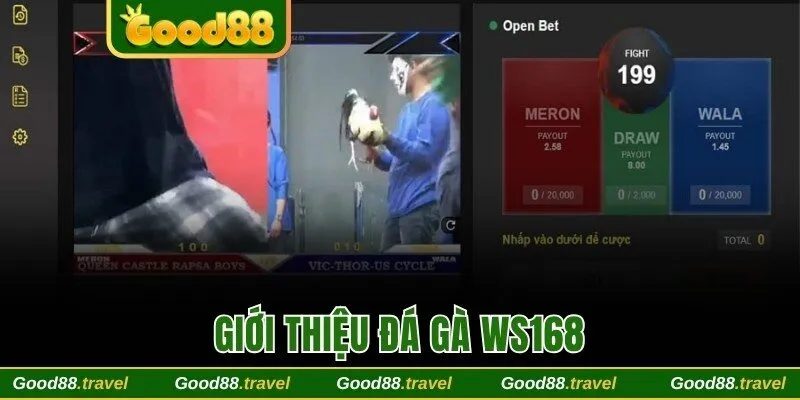 Giới thiệu Đá gà WS168