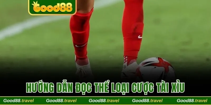 Hướng dẫn đọc thể loại cược tài xỉu