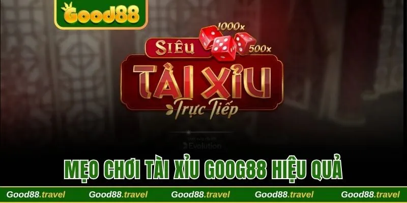 Kinh nghiệm chơi tài xỉu Good88 hiệu quả từ chuyên gia 