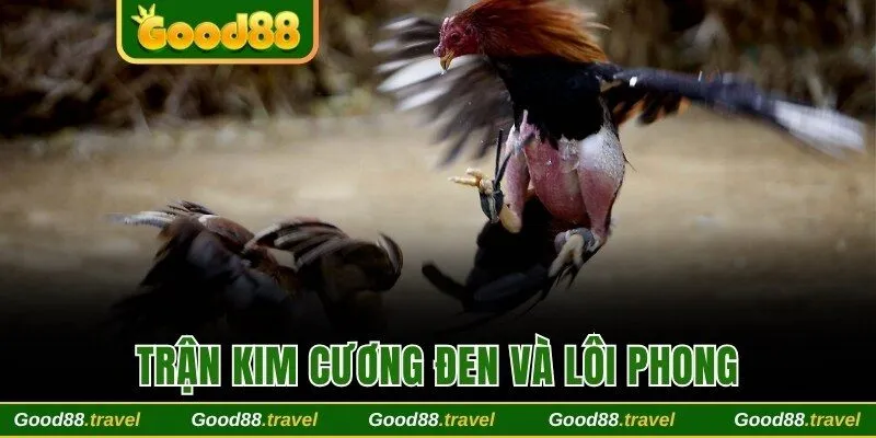 Trận Kim Cương Đen và Lôi Phong